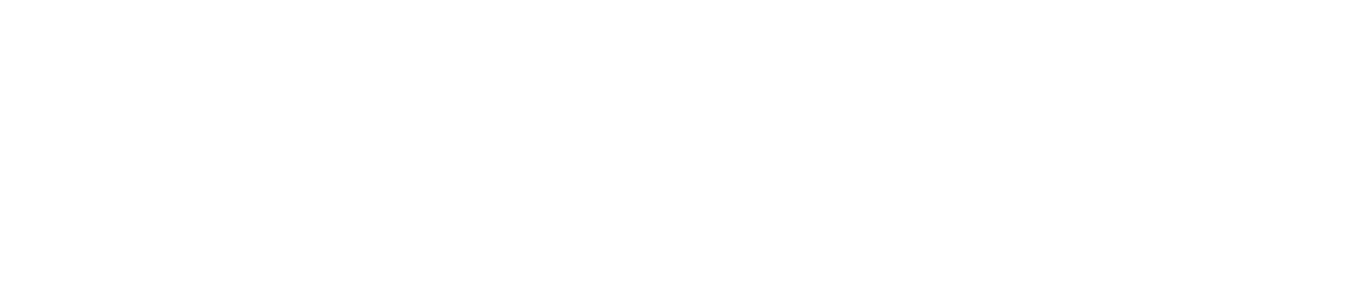 Connect Level Logo